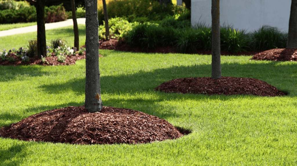 Mulching